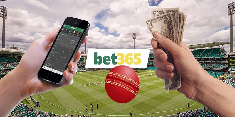 So Sánh Bet365 Với Các Nhà Cái Khác Trong Lĩnh Vực Cá Cược Cricket