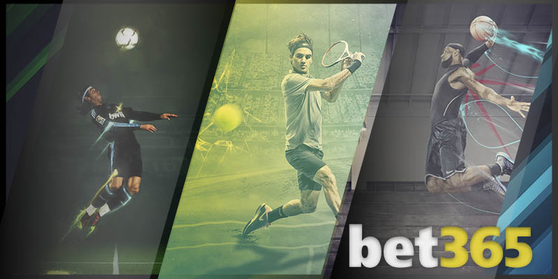 Những thành tựu nổi bật của CEO BET365