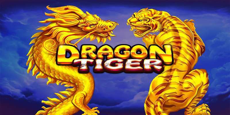 Những Lưu Ý Quan Trọng Khi Tham Gia Dragon Tiger Tại Bet365 Để Tránh Rủi Ro
