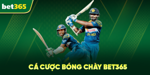 ca cuoc bong ro bet365 copy 2